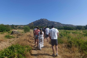 Madrid Winery Tour: Besøk og smaking med sommelierguide