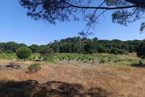 Madrid Winery Tour: Besøk og smaking med sommelierguide