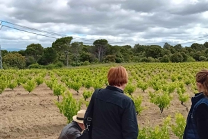 Madrid Winery Tour: Besøk og smaking med sommelierguide