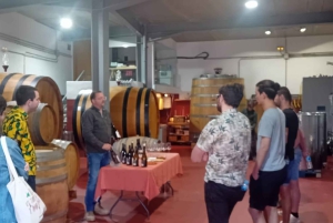 Madrid Winery Tour: Besøk og smaking med sommelierguide