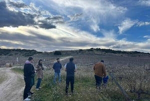 Madrid Winery Tour: Besøk og smaking med sommelierguide
