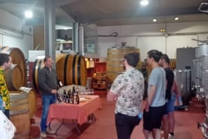 Madrid : Visite d'un vignoble avec dégustation en anglais ou en espagnol