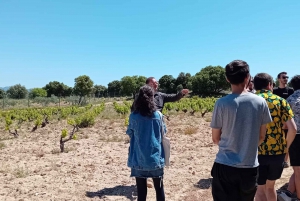 Madryt: Wizyta w winiarni z degustacją w języku angielskim lub hiszpańskim