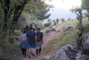 Sierra de Guadarrama: Magical Night Hike