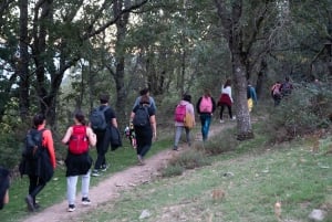 Sierra de Guadarrama: Magical Night Hike