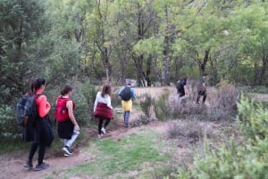 Sierra de Guadarrama: Magical Night Hike