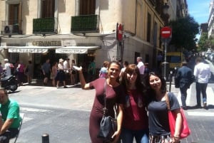 One-Day Private Guided Tour in Madrid