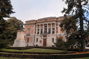 Panoramic Tour of Madrid with Private Guide and Private Car
