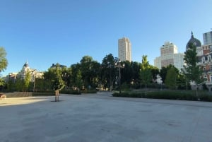 Panoramic Tour of Madrid with Private Guide and Private Car