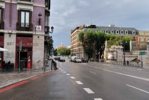 Panoramic Tour of Madrid with Private Guide and Private Car