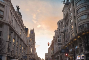 Visite privée de Madrid avec guide et voiture privée