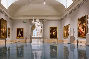 Zwiedzanie VIP Muzeum Prado z ekspertem w dziedzinie sztuki, bilety wliczone w cenę
