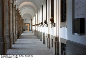 Prado & Reina Sofia Museums Guided Tour