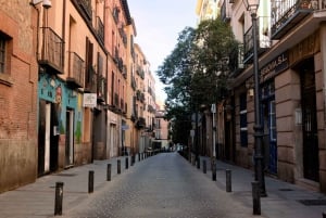 Private City Tour around Madrid