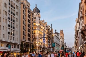 Private Customizable Madrid Tour With a Local