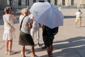 Visite guidée privée Après-midi d'art à Reina Sofía