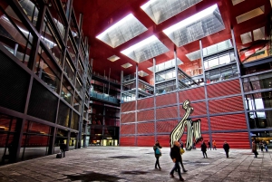 Visite guidée privée Après-midi d'art à Reina Sofía