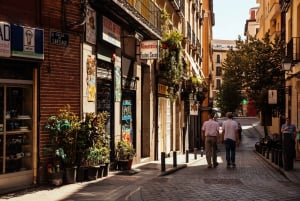 Madrid: Privat tur med lokalbefolkningen - höjdpunkter och dolda pärlor