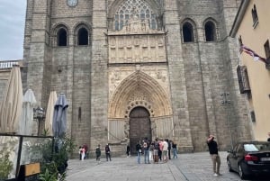 Avila en Segovia: Privétour met minibus vanuit Madrid