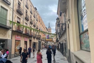 Avila en Segovia: Privétour met minibus vanuit Madrid