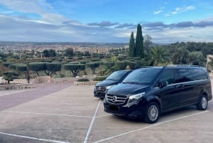 Private tour to Toledo from Madrid with Hotel pickup