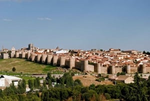 Private tour with driver from Madrid through Avila and Segovia with entrance tickets