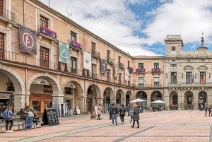 マドリッドからアビラとセゴビアを経由する運転手付きプライベートツアー（チケット付き）