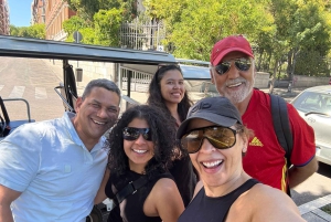 Частный тур в TukTk Madrid: стадион «Бернабеу» и посещение пивоварни Plaza Mahou