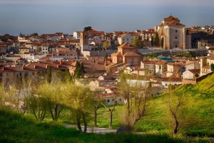 Privat besøg i Chinchón (8 timer)