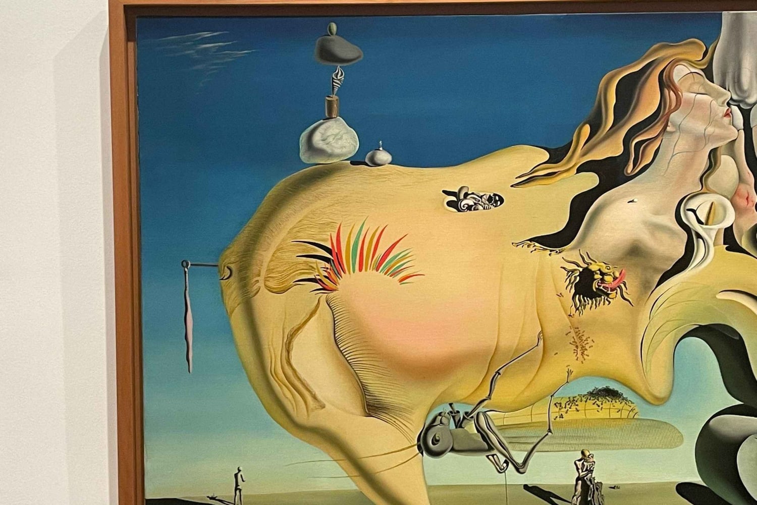 Reina Sofía Museum guidad tur med biljett och hoppa över kön