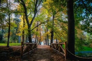 Retiro Madrid - Memorable Photographic Tour