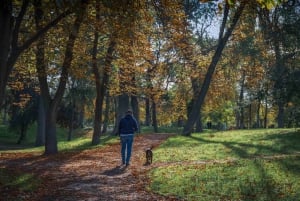 Retiro Madrid - Memorable Photographic Tour