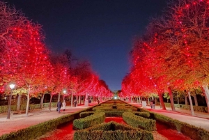Retiro-parken: Sykkeltur for å se julelysene i parken