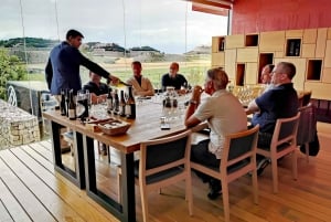 Privat omvisning i vinregionen Ribera del Duero
