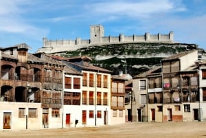 Privat rundtur i vinregionen Ribera del Duero