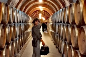 Privétour door de wijnstreek Ribera del Duero