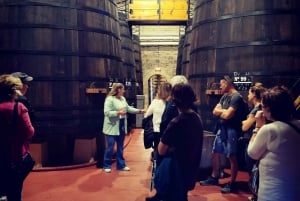 Ribera del Dueron viinialue yksityinen kierros