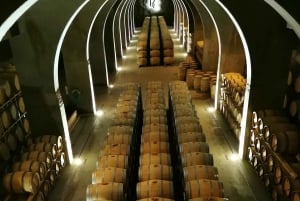 Prywatna wycieczka po regionie winiarskim Ribera del Duero