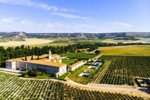 Ribera del Dueron viinialue yksityinen kierros