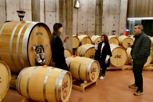 Ribera del Duero Private Wine Tour
