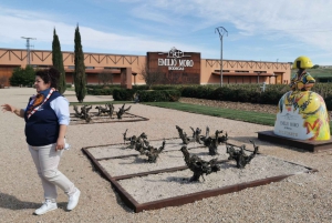 Ribera del Duero 2 wineries tour with winemaker guide