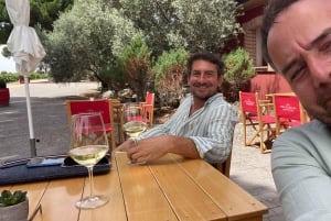 マドリード発リベラ・デル・ドゥエロツアー：2つのワイナリー訪問（移動サービス付き）