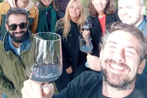 マドリード発リベラ・デル・ドゥエロツアー：2つのワイナリー訪問（移動サービス付き）