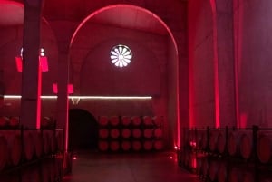 マドリード発リベラ・デル・ドゥエロツアー：2つのワイナリー訪問（移動サービス付き）