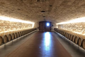 マドリード発リベラ・デル・ドゥエロツアー：2つのワイナリー訪問（移動サービス付き）