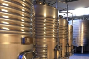 マドリード発リベラ・デル・ドゥエロツアー：2つのワイナリー訪問（移動サービス付き）