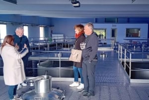 マドリード発リベラ・デル・ドゥエロツアー：2つのワイナリー訪問（移動サービス付き）