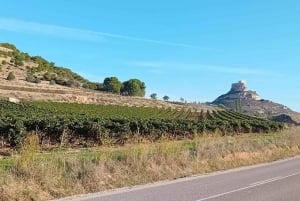 From Madrid: Ribera del Duero Wine Tour with Local Lunch