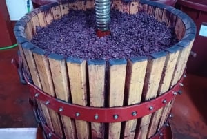 From Madrid: Ribera del Duero Wine Tour with Local Lunch