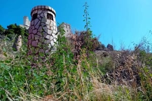 From Madrid: Ribera del Duero Wine Tour with Local Lunch